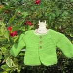 modele tricot jersey gratuit debutant #18