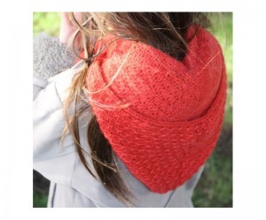 photo tricot modele tricot echarpe a capuche 18