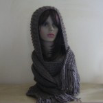 photo tricot modele tricot echarpe a capuche 9