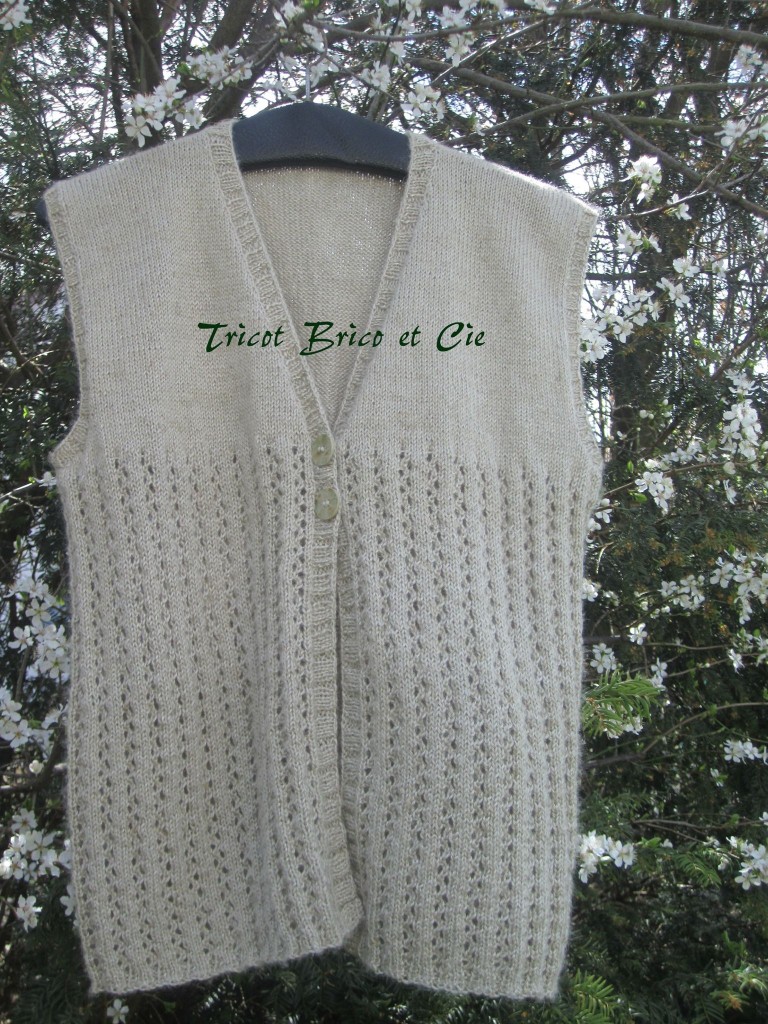 Modele tricot gilet sans manche homme gratuit au crochet