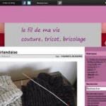 photo tricot modele tricot jersey zeeman 5