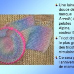 photo tricot modele pour tricotin circulaire 6