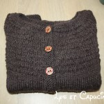 photo tricot modele tricot gilet yoshi 10