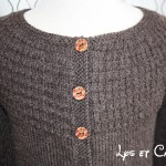 photo tricot modele tricot gilet yoshi 15