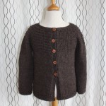 photo tricot modele tricot gilet yoshi 16