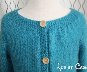 photo tricot modele tricot gilet yoshi 18