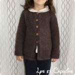 photo tricot modele tricot gilet yoshi 9