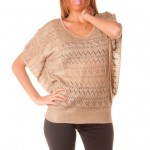 photo tricot modele tricot pull col v femme 15