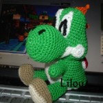 photo tricot modele tricot yoshi 7