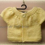 photo tricot modele tricots gratuits phildar 9
