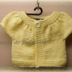 photo tricot modele tricots gratuits phildar 9