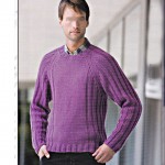 photo tricot modèle tricot gilet homme 17