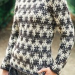 photo tricot modèle tricot gilet jacquard femme 12
