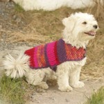 photo tricot modèle tricot manteau pour chien 16