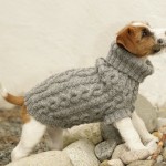 photo tricot modèle tricot manteau pour chien 2