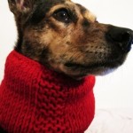 photo tricot modèle tricot tour de cou yorkshire 7