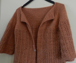 photo tricot tricot modele de gilet 18