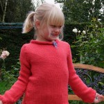 photo tricot modele tricot gilet 2 ans 12