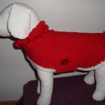 photo tricot modele tricoter pull chien