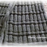 photo tricot modèle tricot écharpe bergère de france 11