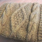 photo tricot modele point tricot torsade 5