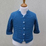 photo tricot modele tricot gilet yoshi 13