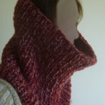photo tricot modele tricoter echarpe tube 14