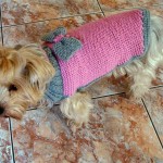photo tricot modèle tricot manteau pour chien 17