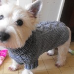 photo tricot modèle tricot manteau pour chien 9