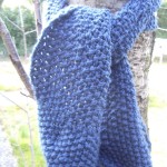 photo tricot modèle tricoter point de riz une écharpe 8