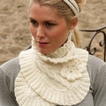 photo tricot modèle tricoter tour de cou circulaires